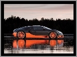 16.4 Super Sport, Bugatti Veyron, Wersja