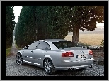 D3, Audi A8