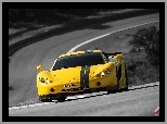 Ascari A10