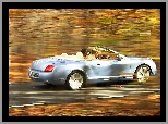 Błękitny, Bentley Continental GTC