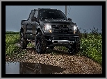 Ford, Ford F150