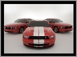 Ford Mustang, Shelby