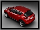 Nissan Juke, Dach