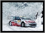 Peugeot 206, Rajdowy