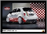 Skorpion, Abarth 500, Rally